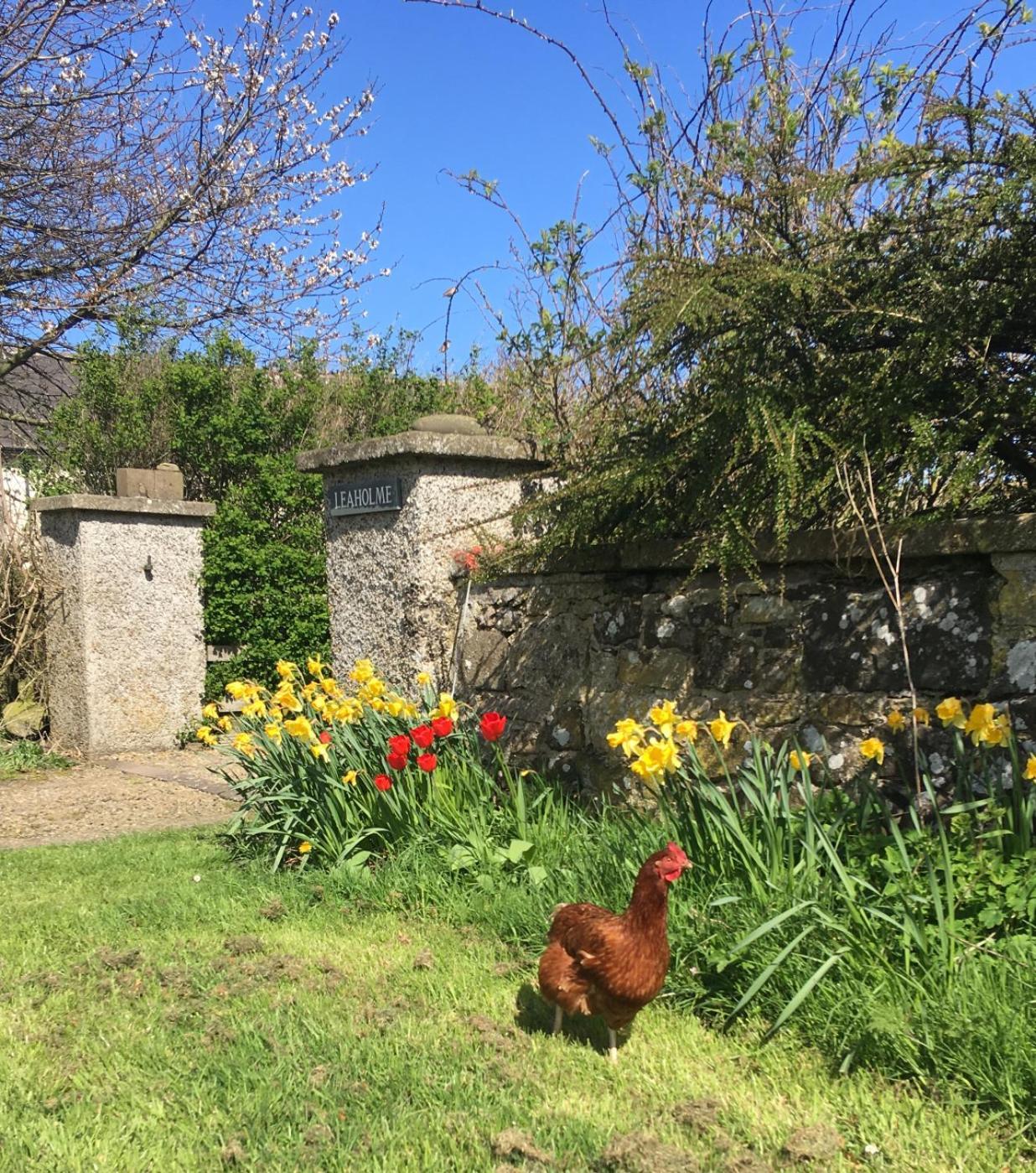 Leaholme Cottage - Fabulous Coastal Cottage For 8 Newton by the Sea Luaran gambar